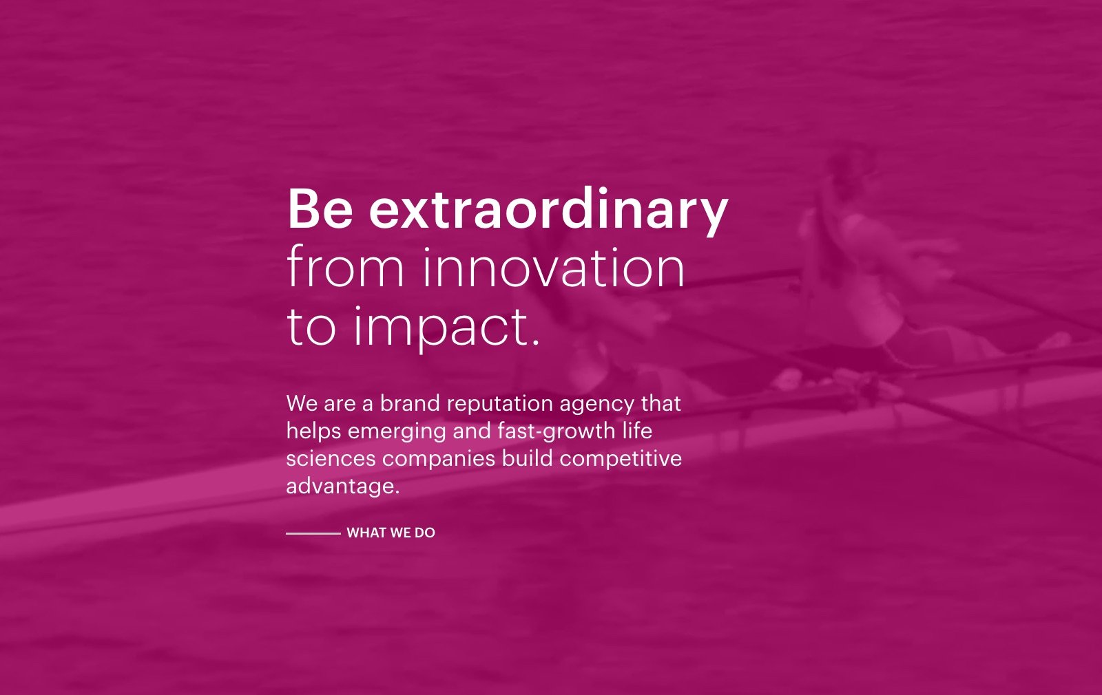 Waterhouse Brands website homepage